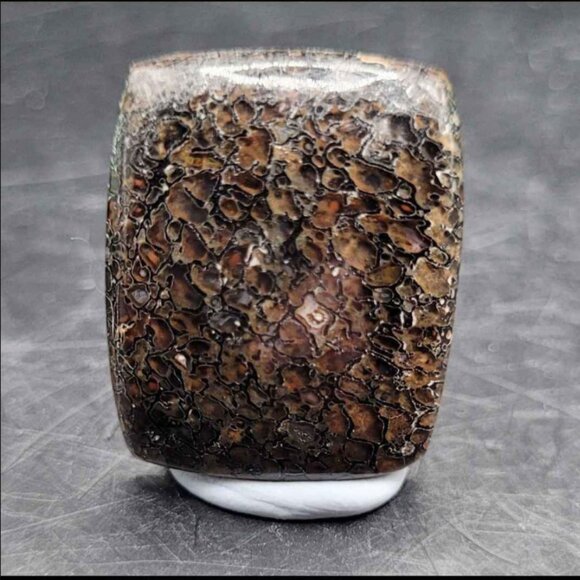 HUGE DEAL Utah Gembone (Dino Bone) Cab Lot of 3- 50.5CTS - Picture 8 of 11